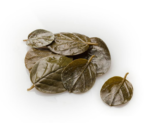 Cypriot Caper Leaves kg